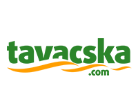 webáruházkészítés, logótervezés, honlapkészítés